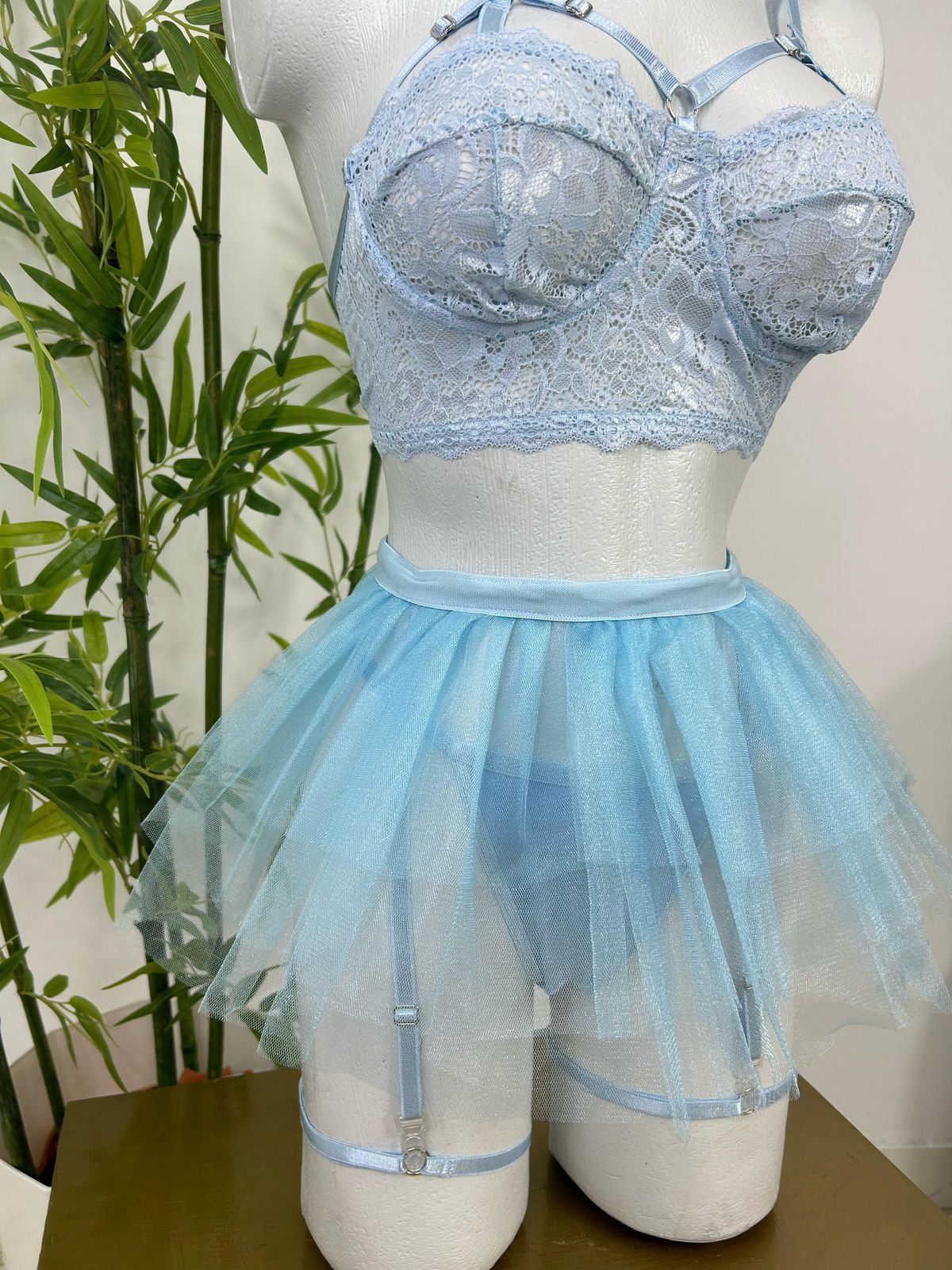 Set Elena